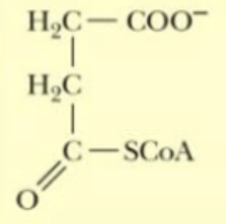 <p>Name that structure.</p>