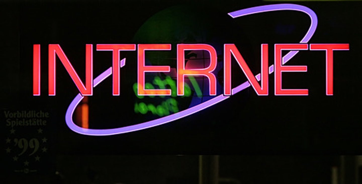 <p>the network; Web</p>
