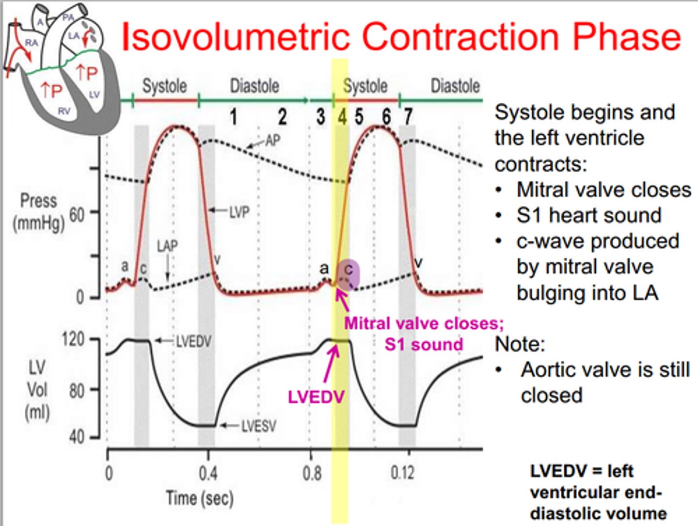 <p>an event occurring in early systole during which the ventricles contract with no corresponding volume change</p>