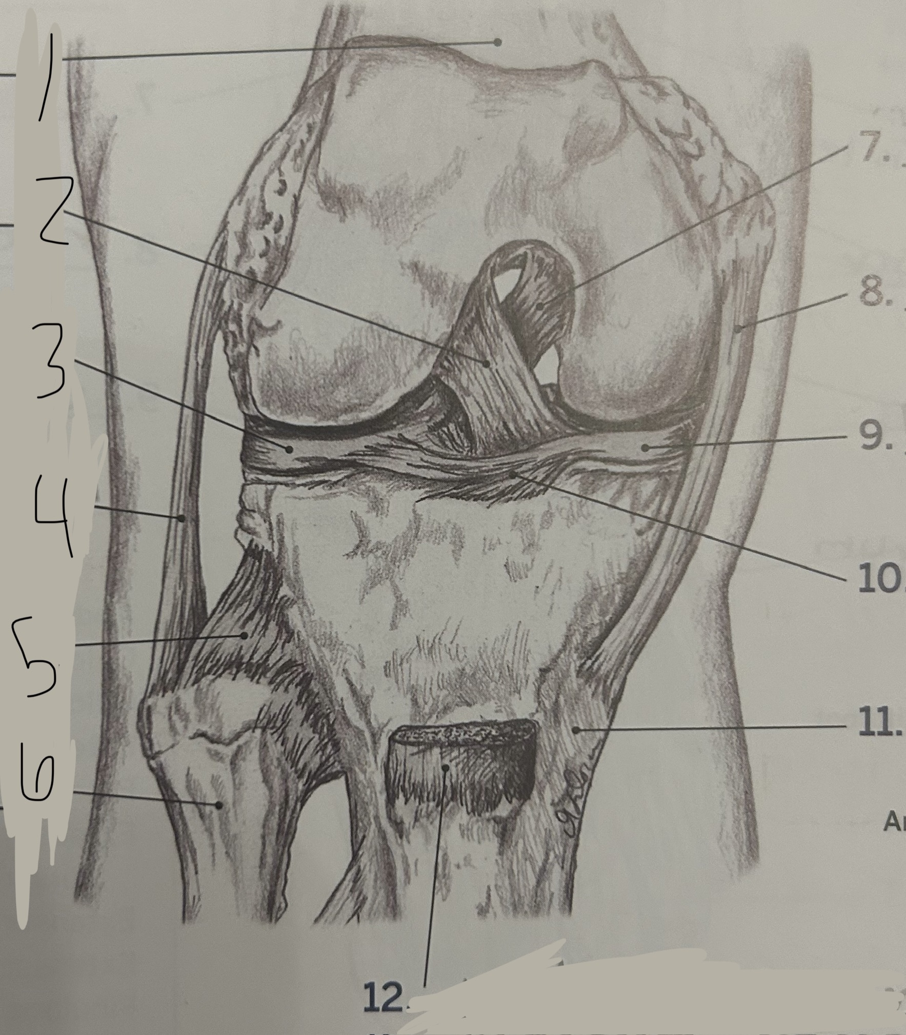 <p>9</p>