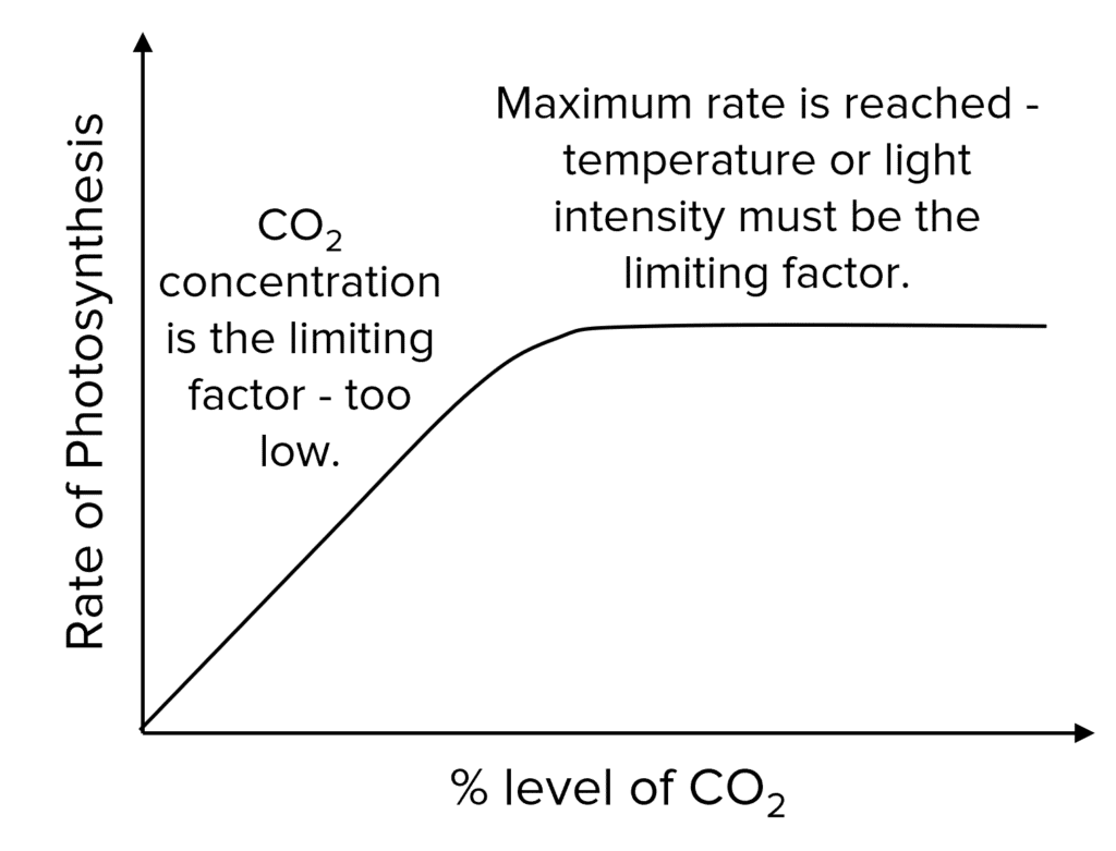 <p>As the % level of carbon dioxide increases, the rate of photosynthesis increases steadily - but only until a certain point when the carbon dioxide is not the limiting factor anymore - as shown by the flat line.</p>