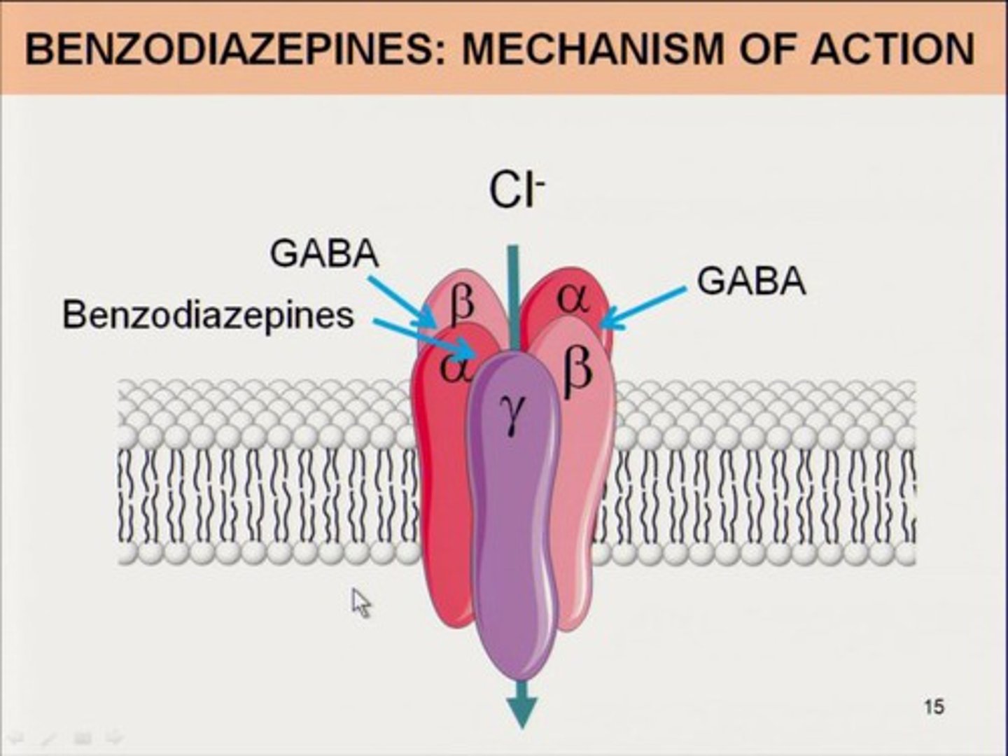 <p>oldest class of sleep drugs</p><p>positive allosteric modulator of GABAa receptors (inhibitory NT)</p><p>- GABA binding -&gt; Cl entry -&gt; decreased likelihood of an action potential</p><p>commonly used for insomnia: temazepam (Restoril), triazolam (Halcion)</p><p>caution: pregnancy X, causes dizziness/ drowsiness, abuse potential, should be limited to short term use (&lt;2 weeks)</p>