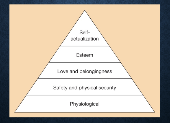 <p>Physiological → Safety and Physical Security → Love and Belongingness → Self-Esteem → Self-Actualization </p>