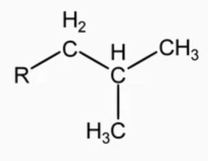 <p>alkyl group</p>