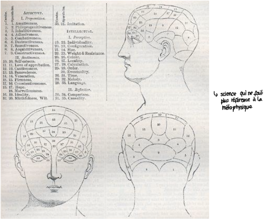 <ul><li><p><span>Johann Spurzheim (1776-1832)</span></p><p>→ médecin allemand </p><ul><li><p><span>« Phrénologie » (1818)</span></p></li><li><p><span>« la connaissance des phénomènes mentaux et de leur rapport avec le physique </span></p><p>→ continue les travaux de Gall</p></li></ul></li><li><p><span>35 facultés</span></p><ul><li><p><span>les fonctions affectives</span></p><ul><li><p><span>les penchants</span></p></li><li><p><span>les sentiments</span></p></li></ul></li><li><p><span>les fonctions intellectuelles</span></p><ul><li><p><span>facultés perceptives</span></p></li><li><p><span>facultés réflectives</span></p></li></ul></li></ul></li><li><p><span>une « théorie scientifique »</span></p><ul><li><p><span>empiriste</span></p></li><li><p><span>matérialiste</span></p></li><li><p><span>en accord avec d’autres découvertes scientifiques contemporaines</span></p></li></ul></li><li><p><span>l’anatomo-pathologie de Bichat (1771-1802)</span></p><ul><li><p><span>une méthode qui soutient l’origine lésionnelle des maladies</span></p></li></ul></li><li><p><span>les localisations cérébrales Paul Broca (1824-1880)</span></p><ul><li><p><span>le langage articulé dépend de la troisième circonvolution frontale gauche</span></p></li></ul></li></ul><p></p>