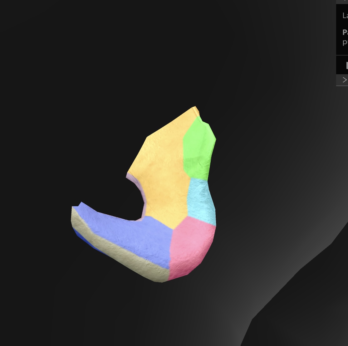 <p>a notch located on the ischium—becomes the lesser sciatic foramen when the sacrotuberal ligament closes the notch. transmits the obturator internus tendon, the nerve to this tendon, and other vessels & nerves to the pelvis</p>