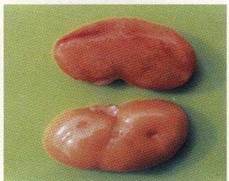 <p>?</p>