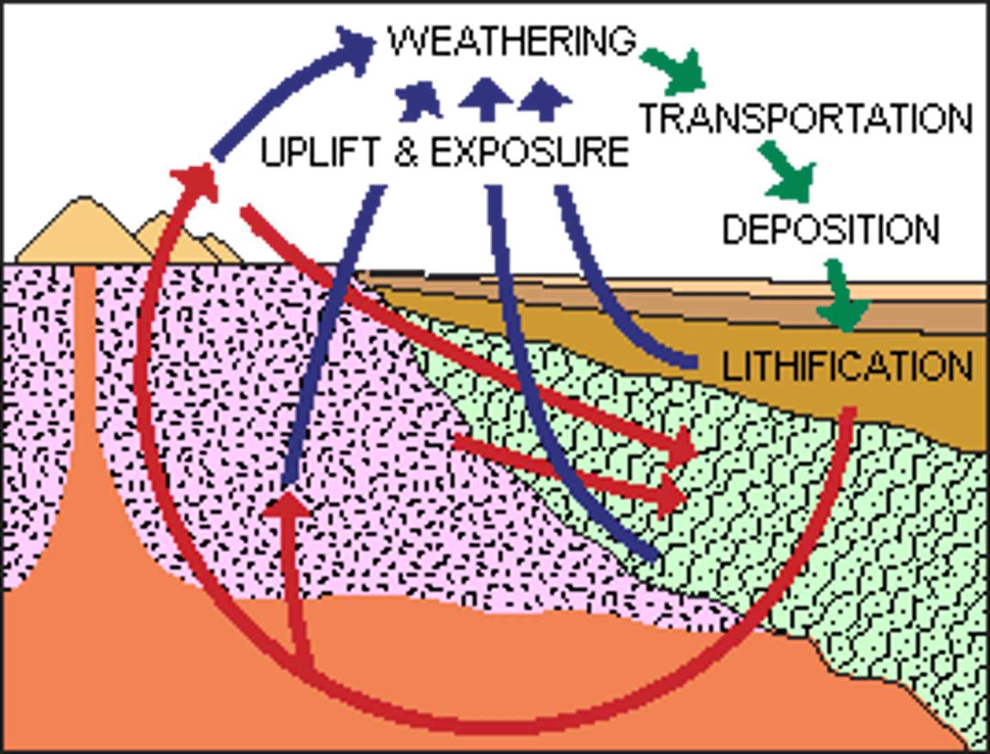<p>A geologist that proposed that forces beneath Earth's surface can push rock layers upward, tilting or twisting them in the process and eventually forming mountain ranges. Mountains, in turn, can be worn down by rain, wind, heat, and cold. Since most of these processes operate very slowly, Hutton concluded that our planet must millions and not just a few thousand years old.</p>