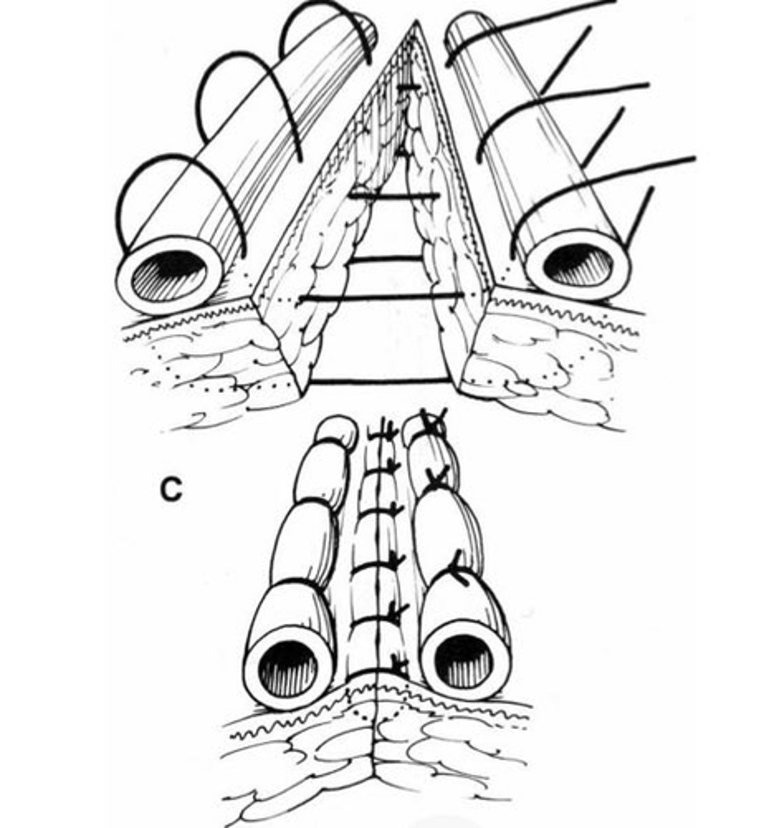 <p>The use of _____ is shown here</p>