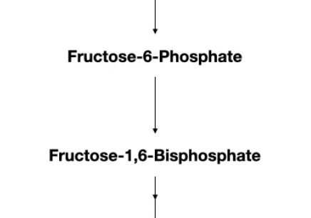 <p>In glycolysis, what enzyme?</p>