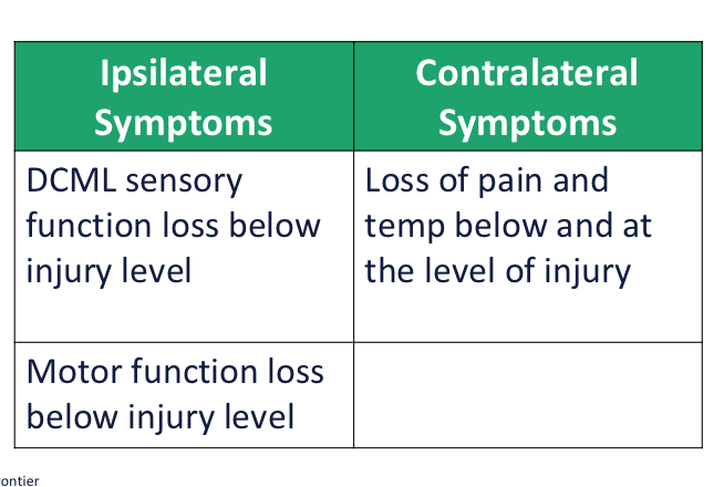 <ul><li><p>cause: stab wound or gun wound</p></li></ul><p></p>