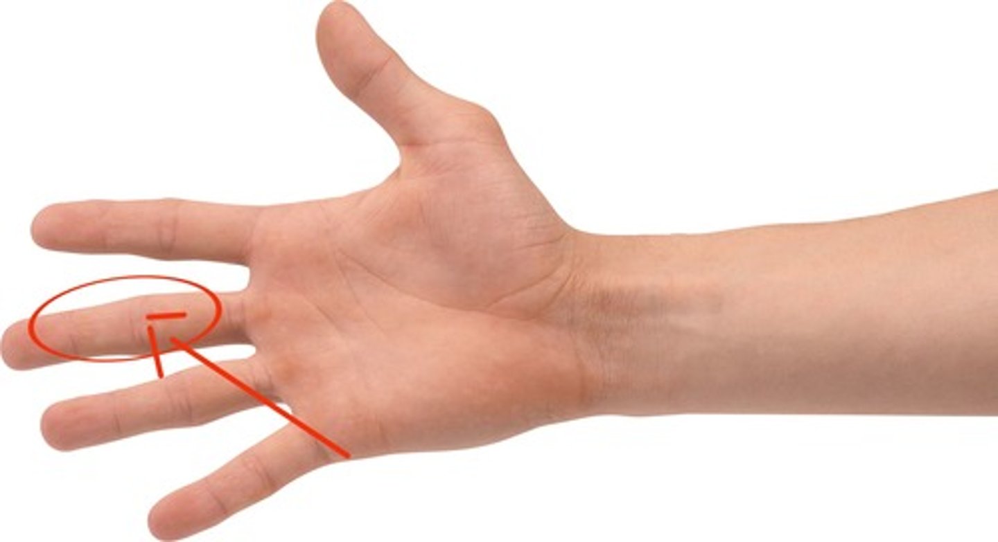 <p>middle finger</p>