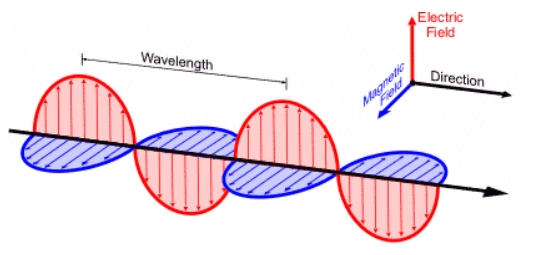 <p>EM waves have perpendicular out/in waves</p>