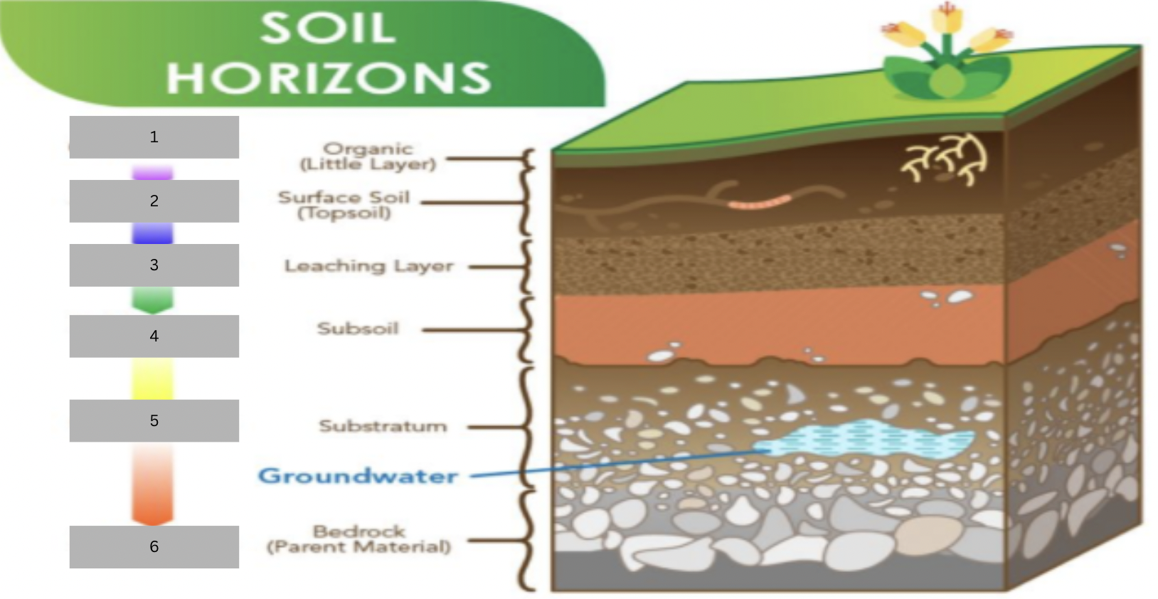 <p>Complete the soil horizons</p>