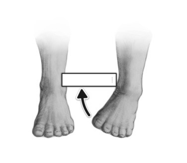 <p>turning sole of foot inward/ medially</p>