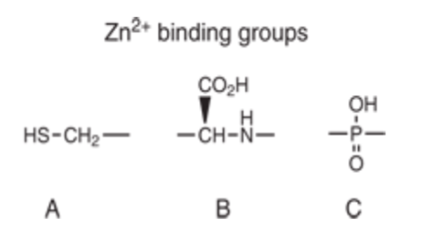 <p>1) sulfhydryl</p><p>2) carboxylic acid</p><p>3) phosphinic acid (phosphonate)</p>