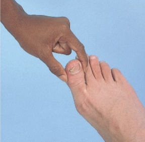 <ul><li><p>Grasping digit from their lateral sides: IP joint of great toe &amp; MCP joint of long finger </p></li><li><p>Have patient close their eyes </p></li><li><p>Have patient identify direction in which you are moving digit (up or down)</p></li><li><p>Test bilaterally </p><p>*be sure to stabilize wrist for hand </p></li></ul><p></p>