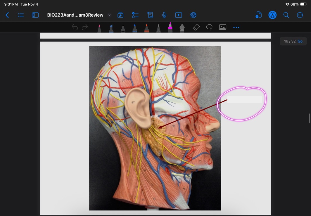 <p>What is this?</p>