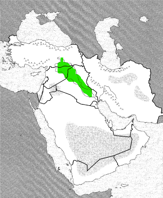 <p>Physical</p>