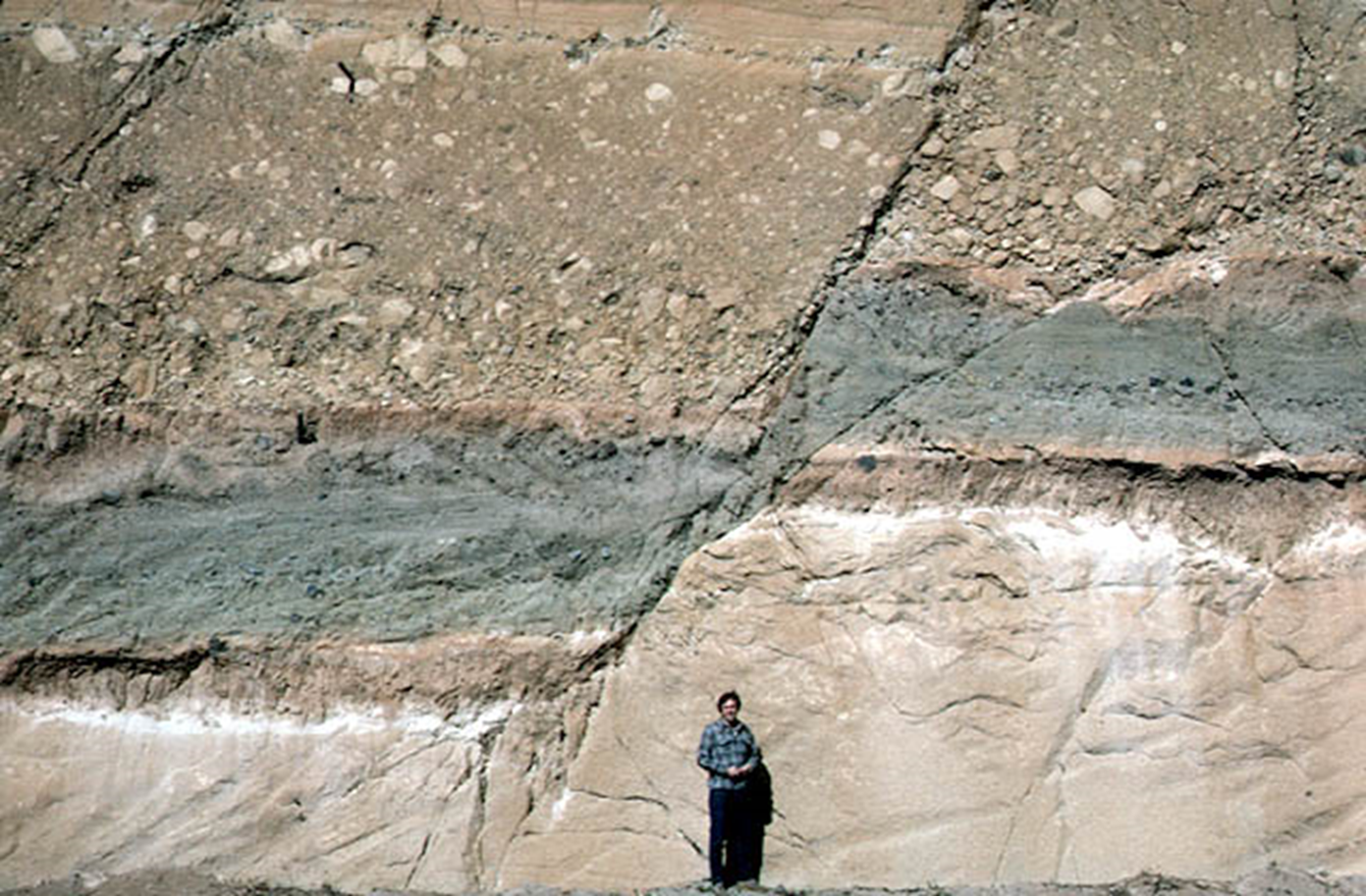 <p>What type of fault is it shown in the photo below?</p>