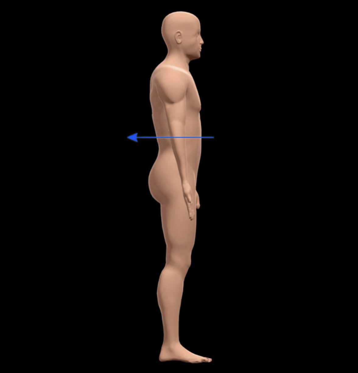 <p>Name the directional term indicated.</p>