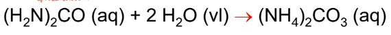 <p>een trage hydrolyse reactie tot ammonium-carbonaat, een opneembare vorm van stikstof voor planten</p>