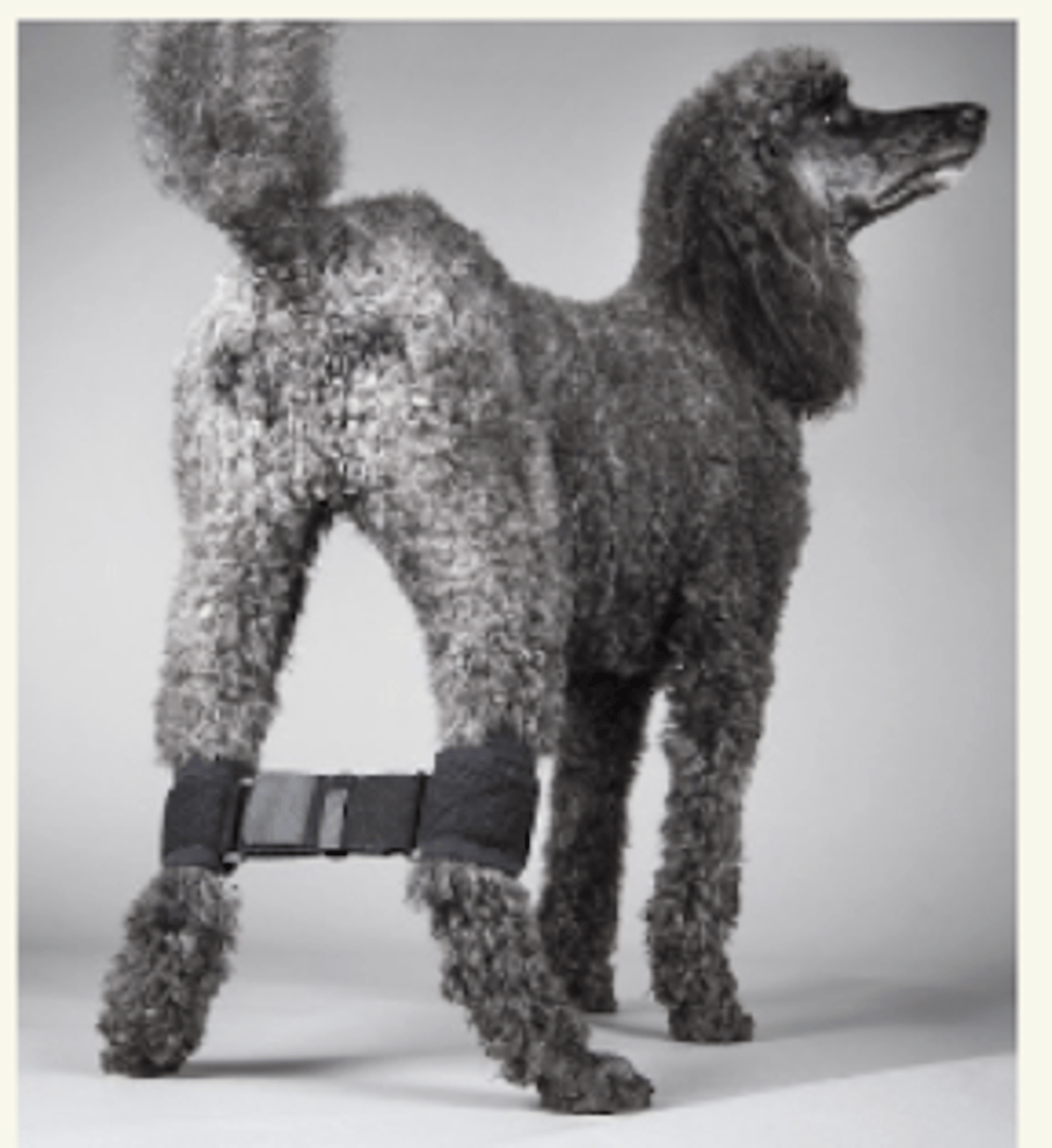 <p>vendaje intertarsiano- no puede abducir ni arrascar</p>