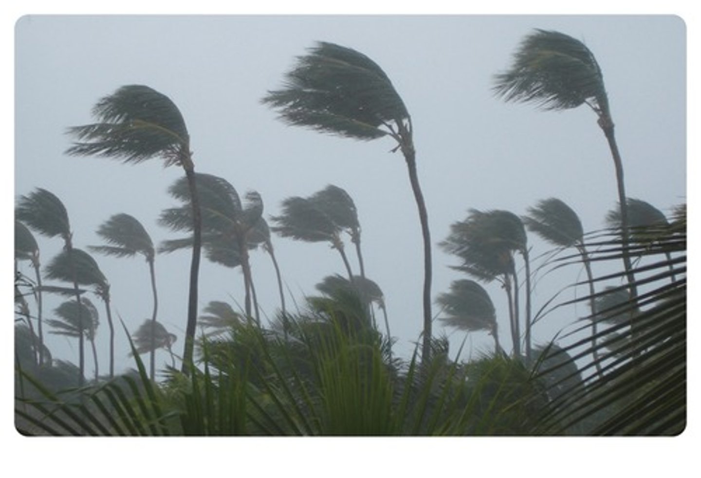 <p>/wɪnd/ - gió → strong wind → The wind is very strong. (Gió rất mạnh.)</p>