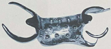 <p>Provides mechanical retention for acrylic by beads, nailhead-shaped projections, or wires embedded in resin.</p><p>Used when space is limited or when mesh can’t be used.</p>