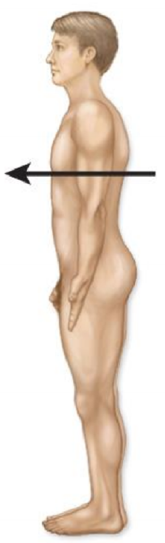 <p>What is this directional terminology? What is another name for it?</p>