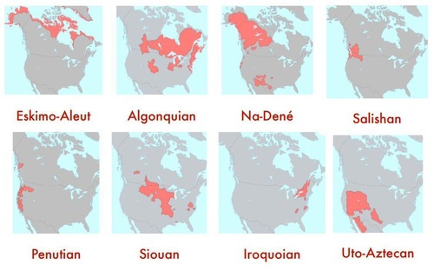 <p>Groups of related languages sharing a common ancestor.</p>