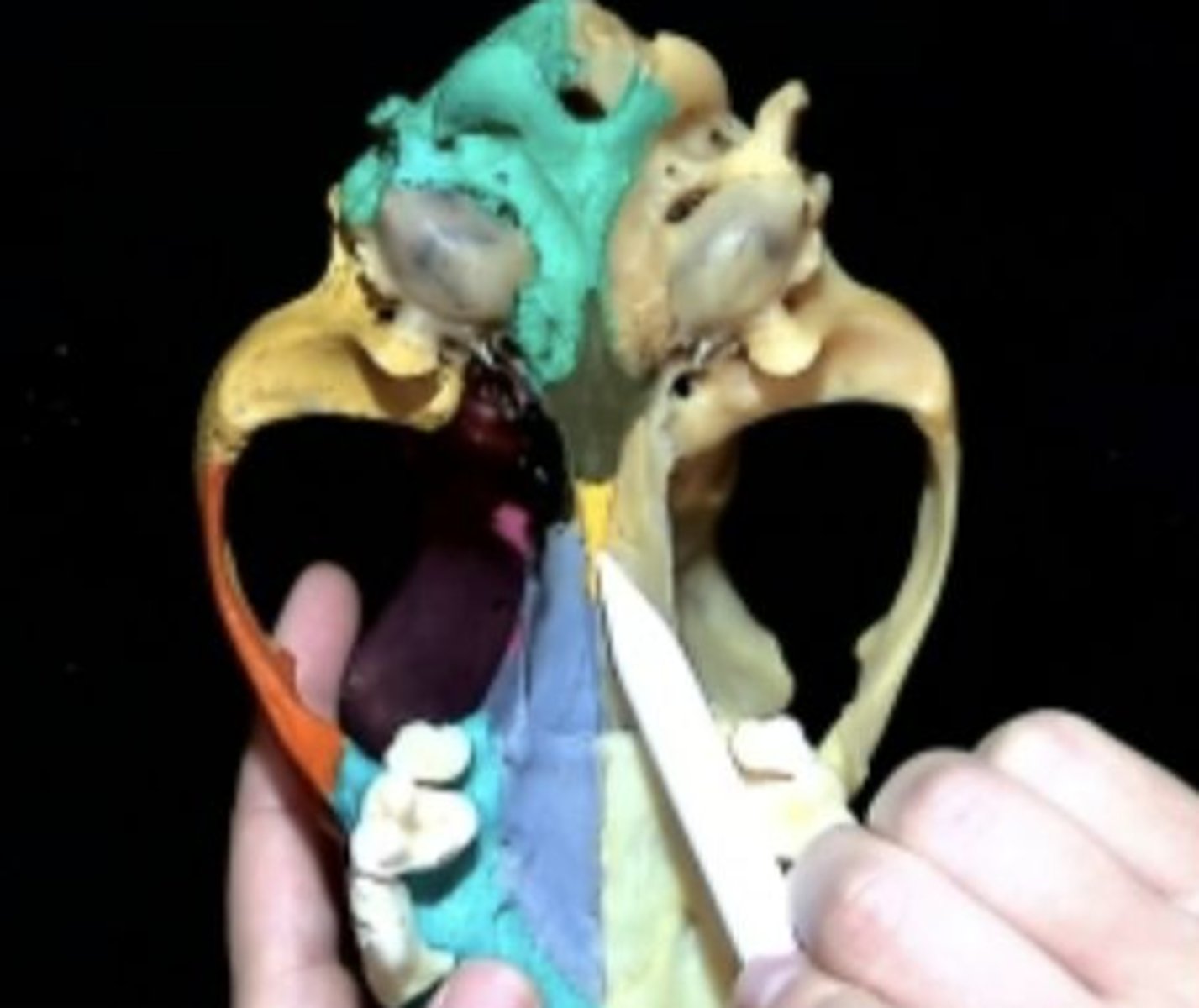 knowt flashcard image