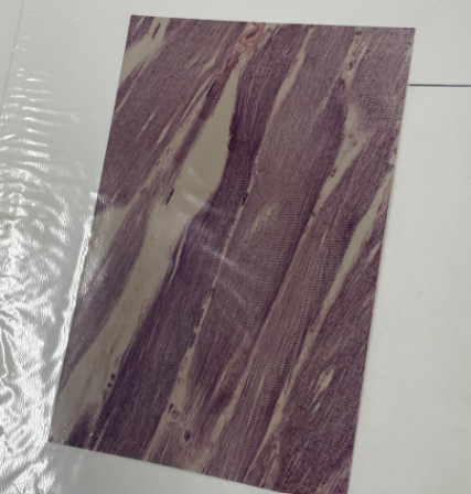<p>what is this? what is the line pointing to?</p>