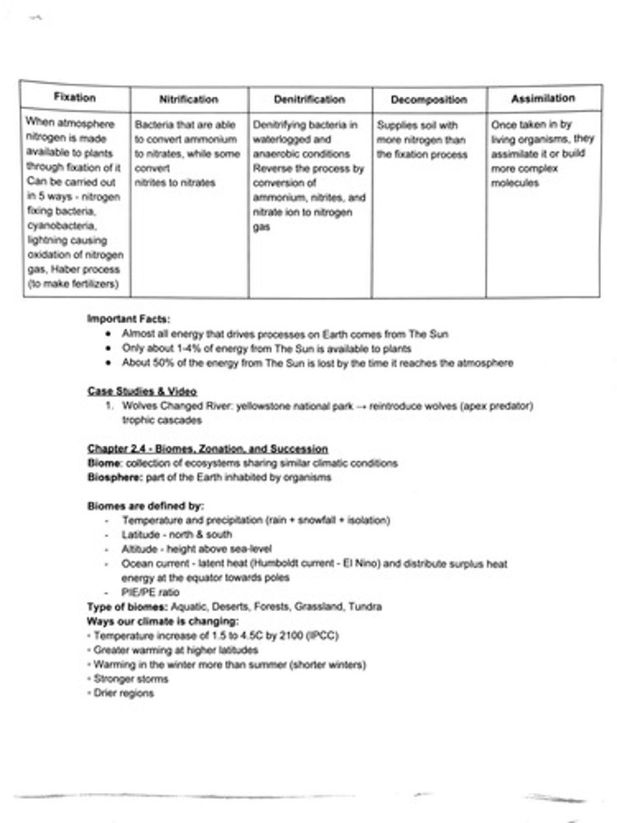 <p>Collection of ecosystems sharing similar climatic conditions.</p>