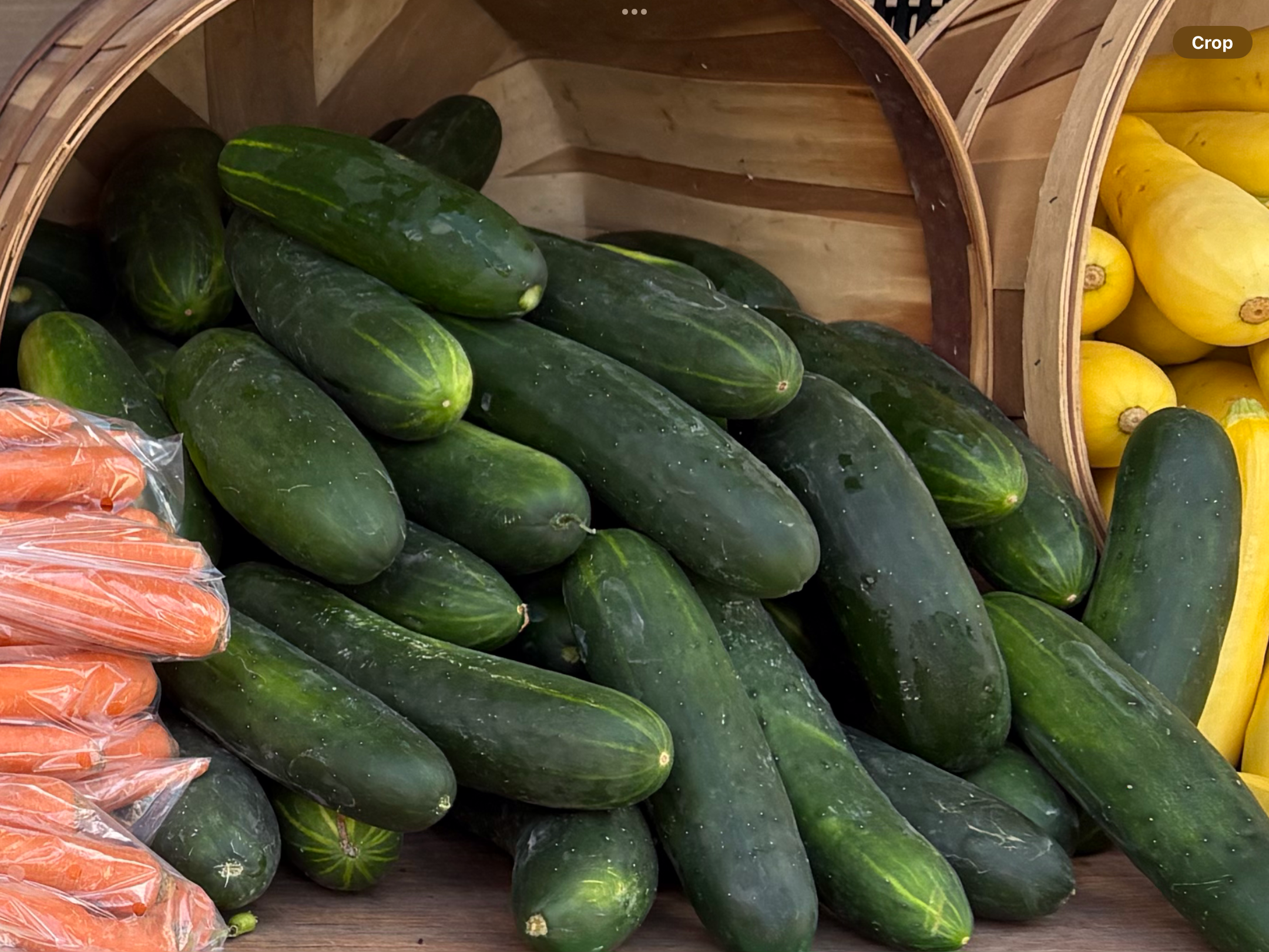 <p>Cucumber</p>