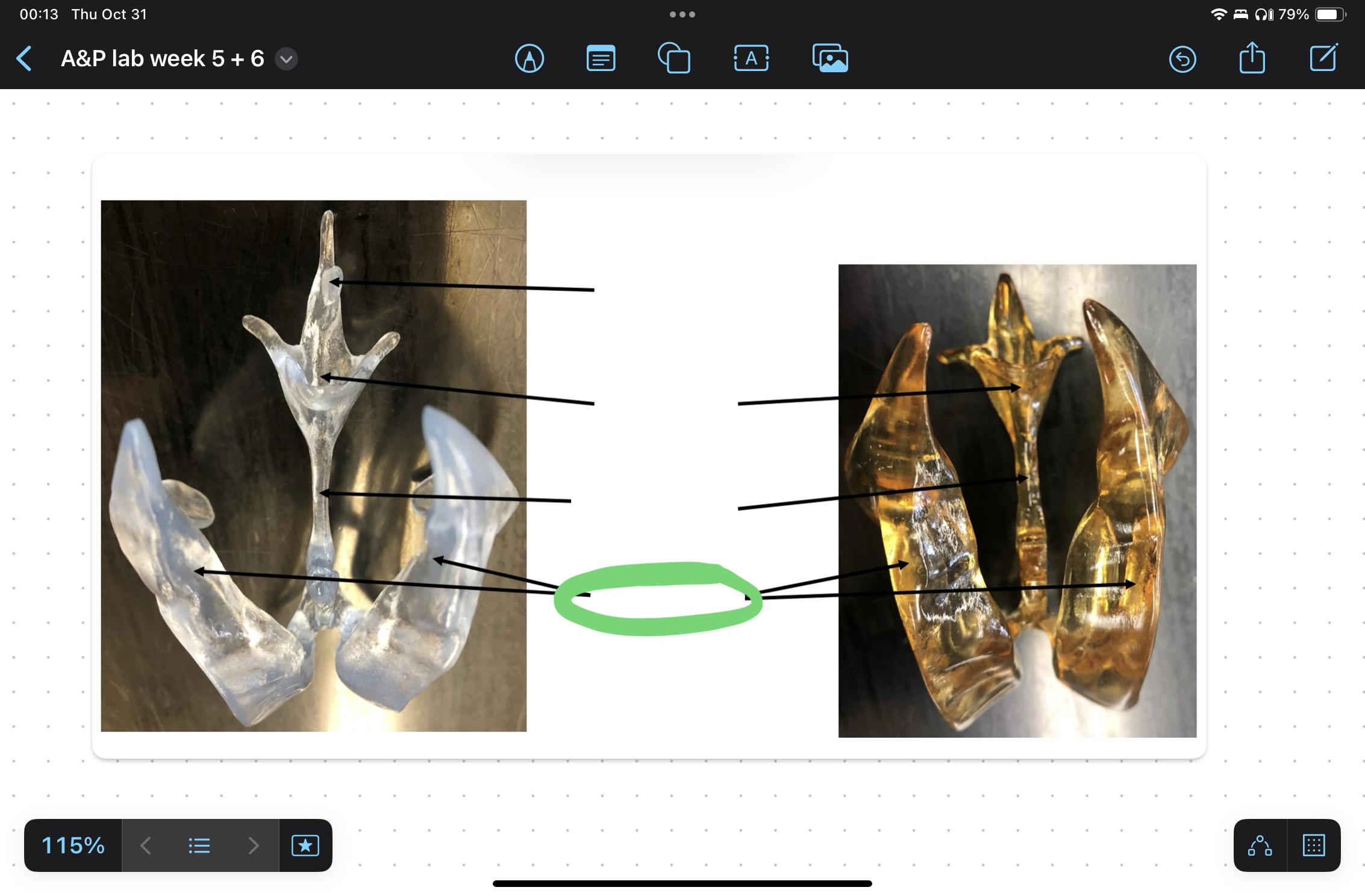 knowt flashcard image