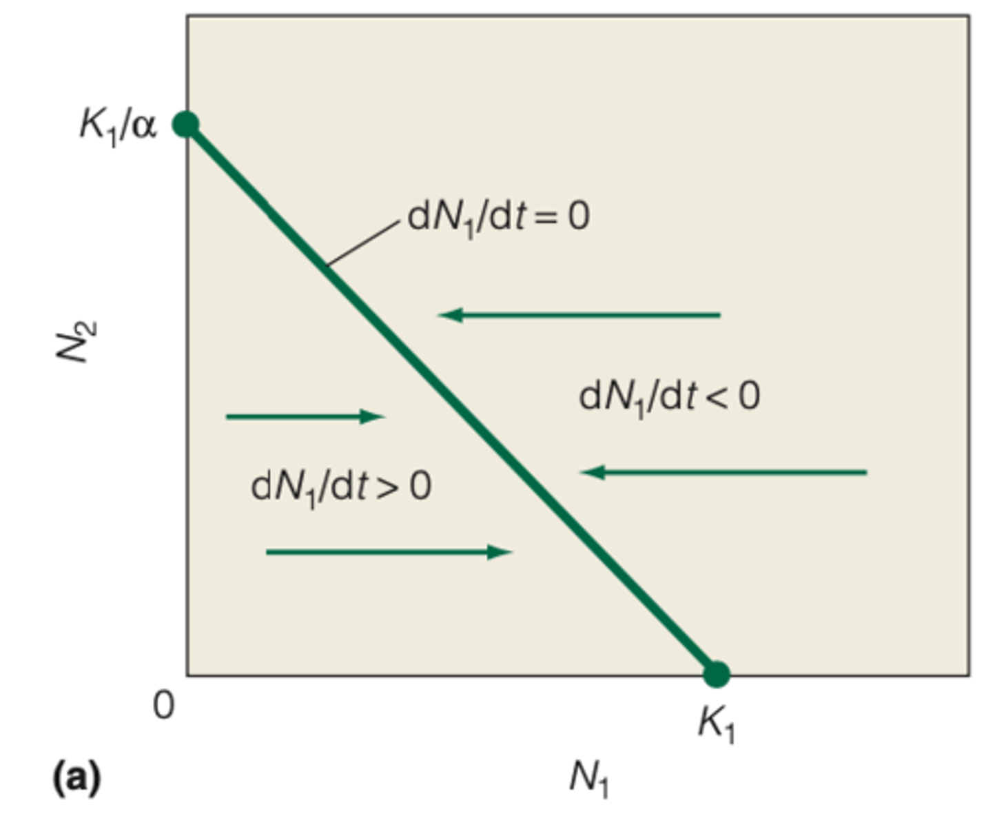 <p>AXIS:</p><p>- N1 on the x-axis (Species 1)</p><p>- N2 on the y-axis (Species 2)</p><p>----------------</p><p>WHAT NOW?</p><p>- solve for the combined values of N1 and N2 at which growth rate (dN1/dt) = 0 </p><p>----------------</p><p>THIS OCCURS WHEN </p><p>- (1-(N1+αN2/K1) = 0 </p><p>or </p><p>- K1=N1+αN2</p><p>----------------</p><p>WHAT NOW?</p><p>- determine the combined values of N1 and N2 that equal the carrying capacity of species 1 (define the line by solving for the x- and y- intercepts)</p><p>----------------</p><p>ONCE SOLVED:</p><p>- x- intercepts is N2= 0, so N1=k1</p><p>- y- intercepts is N1= 0, so N2 = k1/α</p><p>----------------</p><p>For combinations of (N1, N2)</p><p>- below the line, spcies 1 growth rate will be positive</p><p>- above the line, species 1 growth rate will be negative</p>