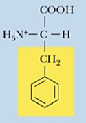 <p>Name (Abbr.) - polarity, a/n/b</p>