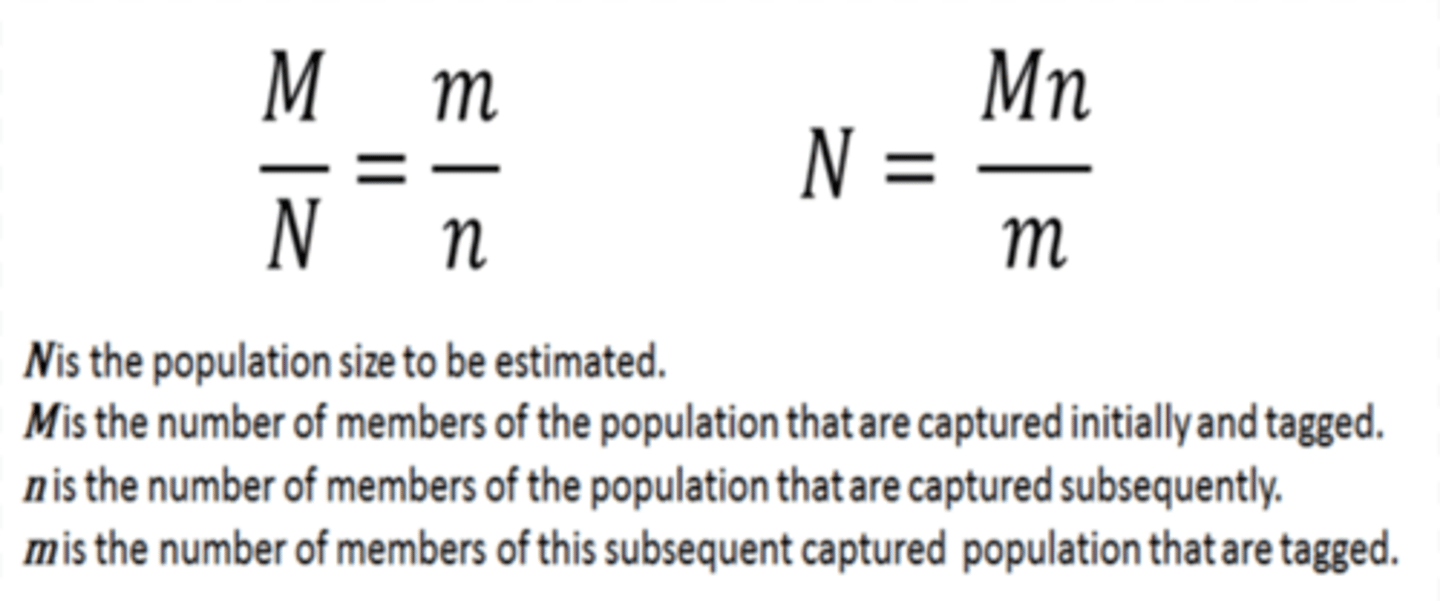<p>A formula used to estimate the population of a closed environment while using CMRR method.</p>