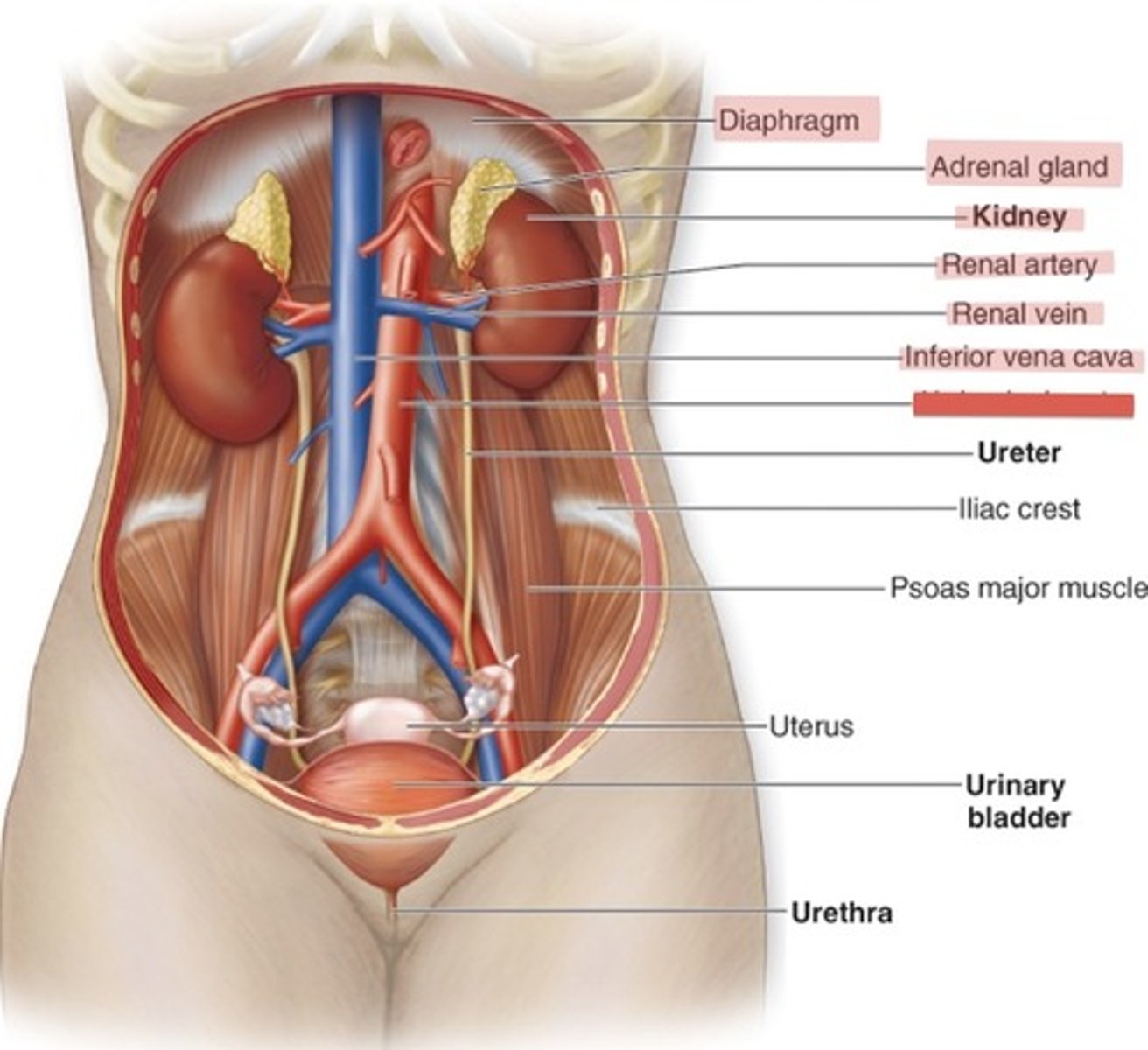 <p>What is this?</p>