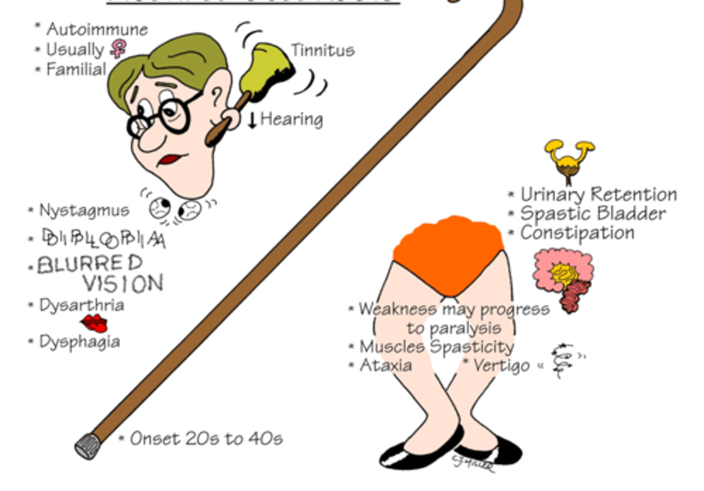 <p>Chronic inflammatory autoimmune disorder that damages the myelin sheath of neurons in the CNS. Demyelination resulting in delayed motor response from neurons. Exact cause is unknown. Causes a wide variety of wide variety of sensory and motor deficits. </p><p>S/S: Tinnitus, decreased hearing, usually women diagnosed, nystagmus, blurred vision, diplopia, dysphagia, urinary retention, spastic bladder, constipation, paralysis. </p>