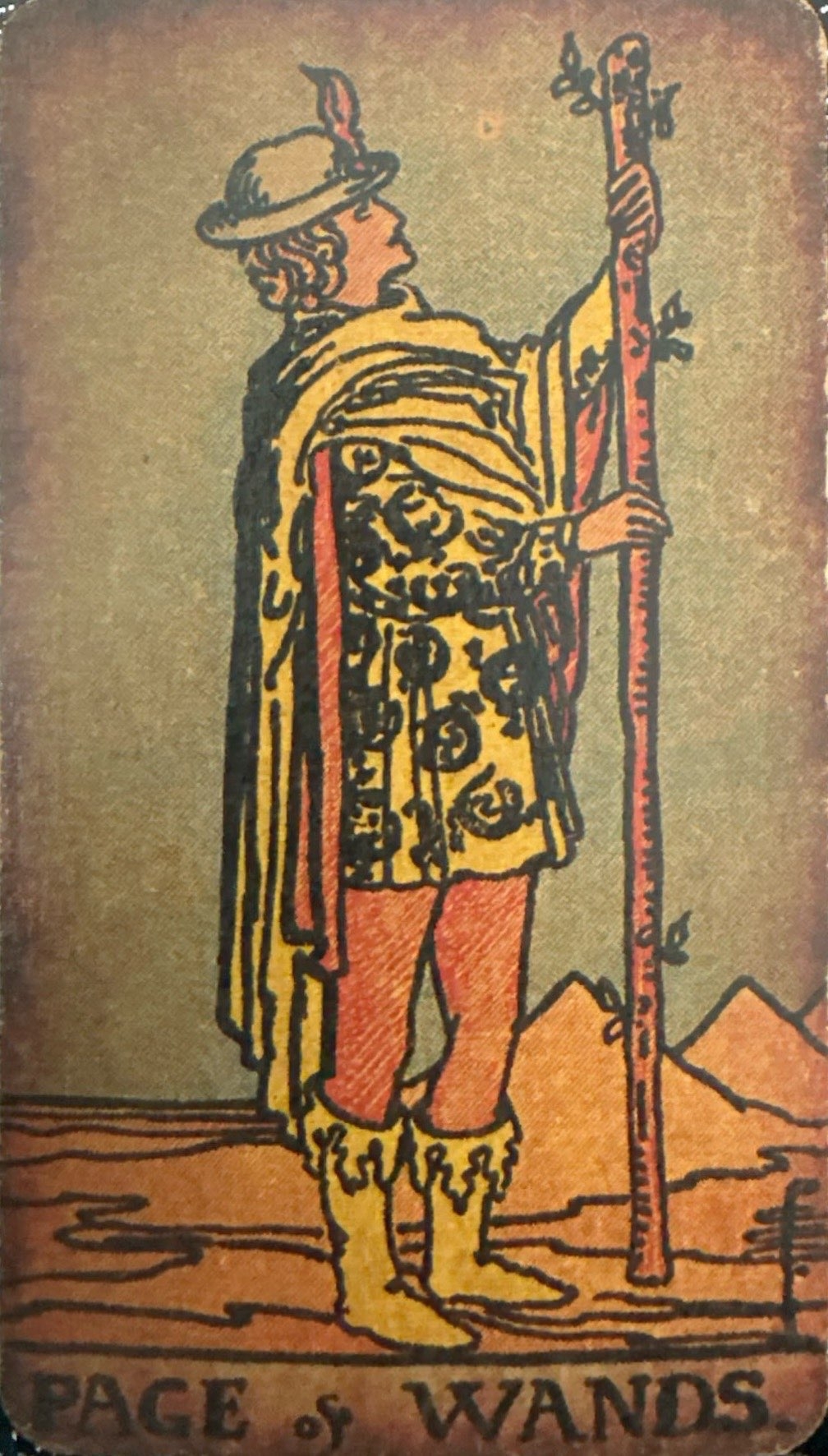 <p>XI - Page of Wands</p>