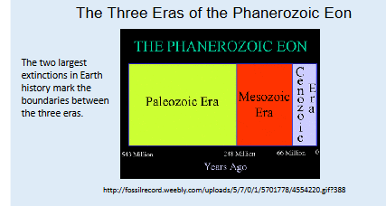 <p><span>-The Phanerozoic Eon was the first eon to be further subdivided into smaller divisions based upon the record of fossils found within it. The two older eons contain fossils but they are rare, generally microscopic and were not even discovered until the twentieth century.</span><br></p><p><span>-The Phanerozoic is divided into three primary intervals, or eras, which the fossil record defines. The oldest is the Paleozoic Era (meaning "interval of old life"), followed by the Mesozoic Era (meaning "interval of middle life"), and the youngest Cenozoic Era (meaning "interval of modern life"). These three eras are divided by the two greatest extinctions in Earth history. The middle of these three eras, the Mesozoic Era, and the extinction that marks its end are subjects of this course.</span><br></p>