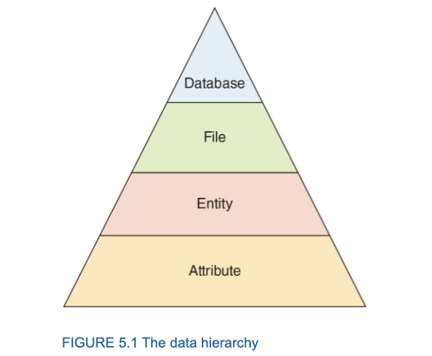 <ol><li><p>Database</p></li><li><p>File- collection of entities</p></li><li><p>Entity- person, place  or thing for which data is collected, stored and maintained </p></li><li><p>Attribute - characteristic of an entity </p></li></ol><p></p>