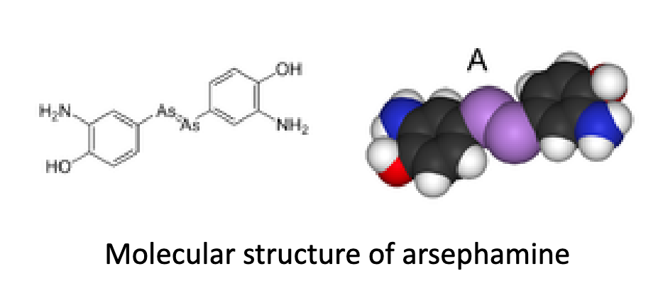 <p>What was the first success of the magic bullet concept?</p>