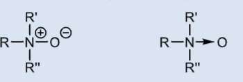 <p>Permanently charged across pH range</p>