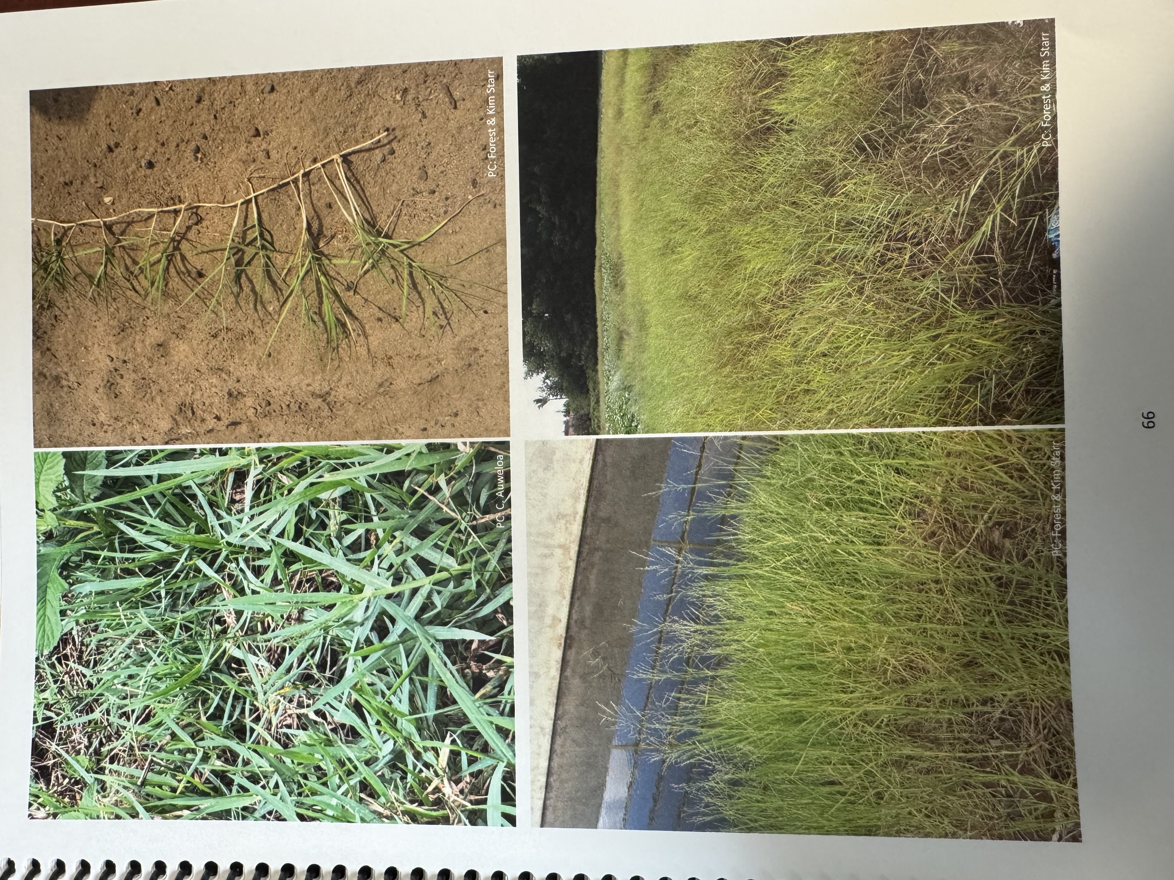 <img src="blob:null/97095ee4-22d0-4580-ba61-c2fec0f27dfb"><p></p>