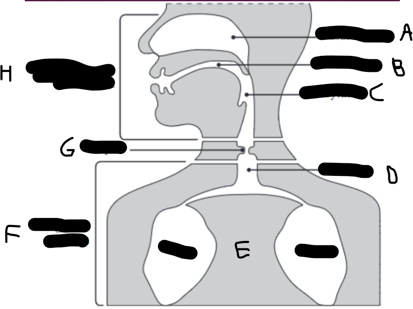 <p>What is D?</p>