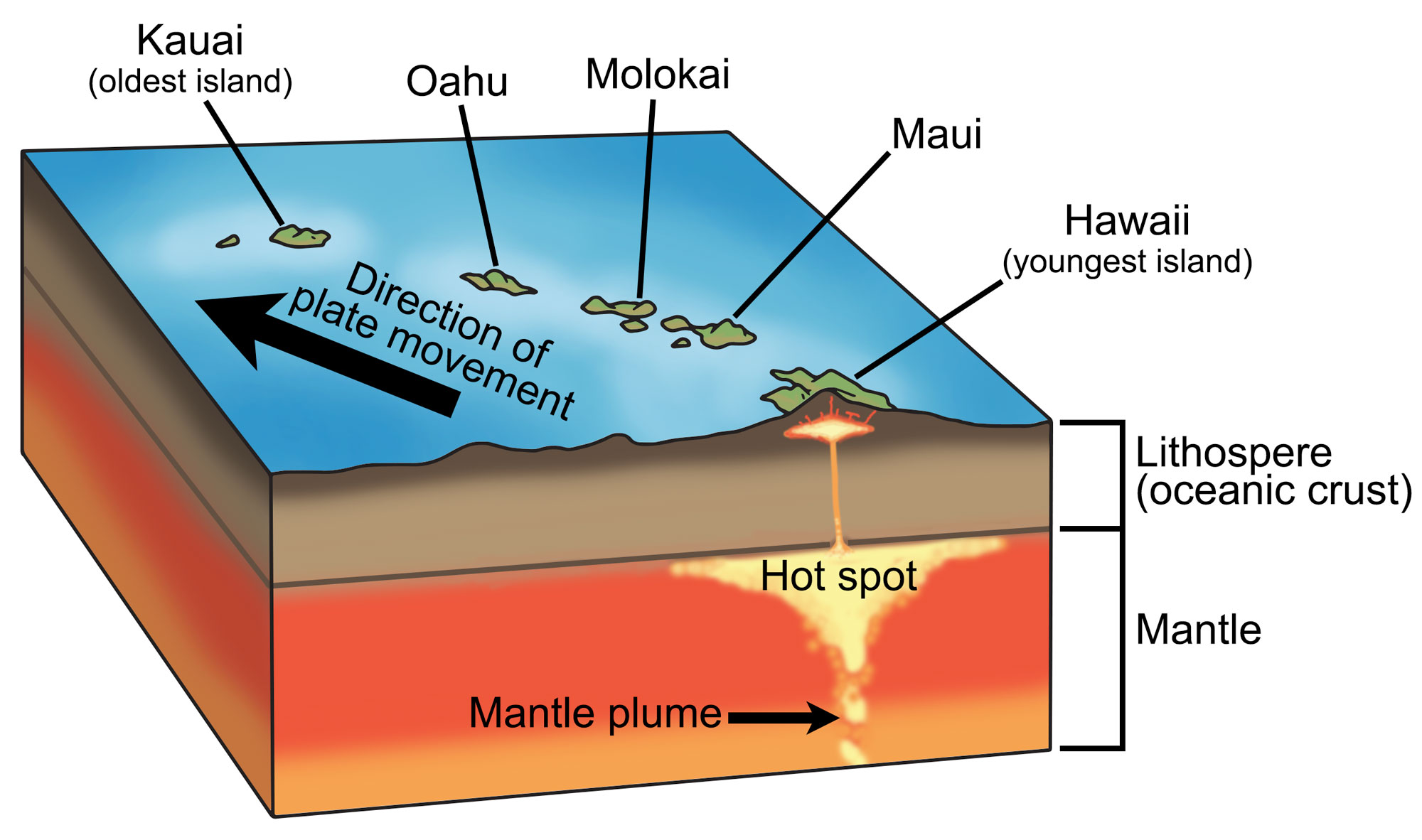 <p>in geology, a place where molten material from earths mantle reaches the lithosphere</p>