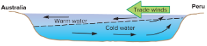 <p>Schematic cross-section. The trade winds stack up warm surface water on the western side of the Pacific Ocean.</p>